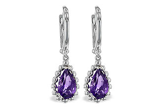F226-31431: EARR AMY 1.40 TW