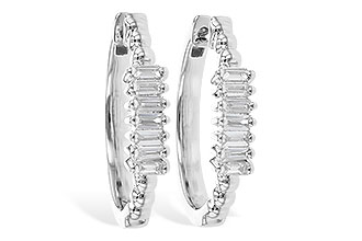 L309-95976: EARR .20 TW BAGUETTES